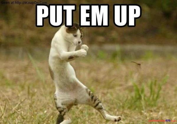 meme cố lên put em up