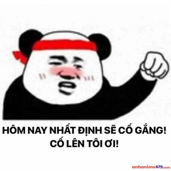 meme cố lên trung quoc