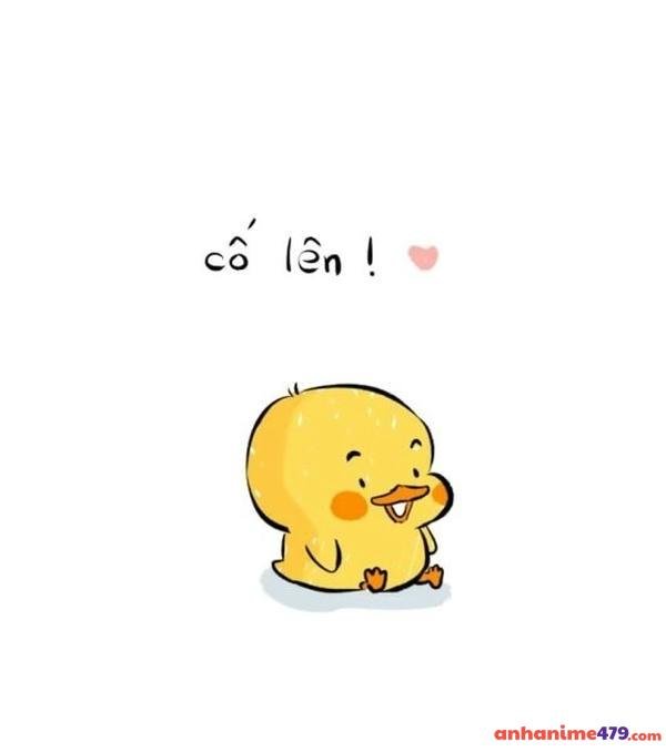 meme cố lên vịt vàng