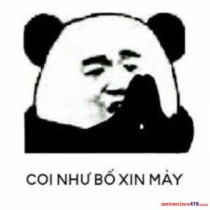 meme coi như bố xin lỗi