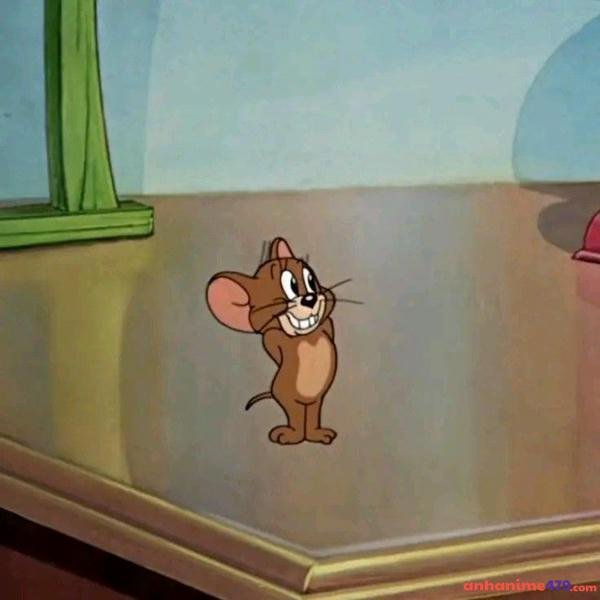 meme con chuột jerry