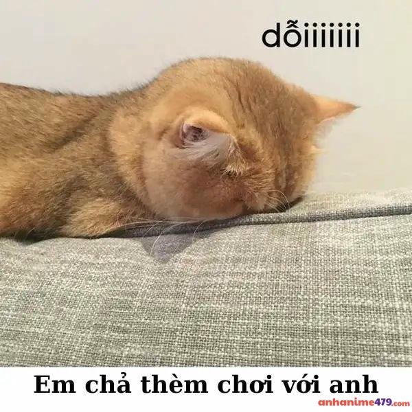 meme dỗi chả thèm chơi