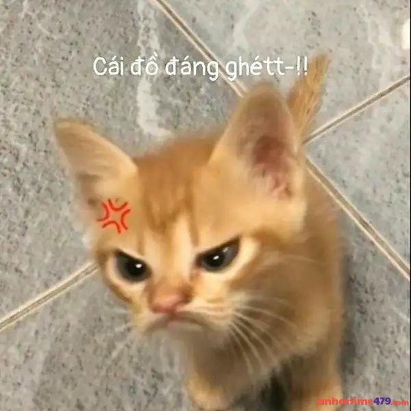 meme dỗi tức giận