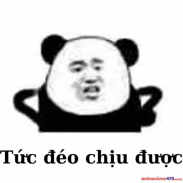 meme dỗi tức tối