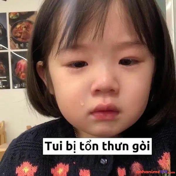 meme dỗi tui bị tổn thương