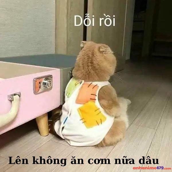 meme dỗii