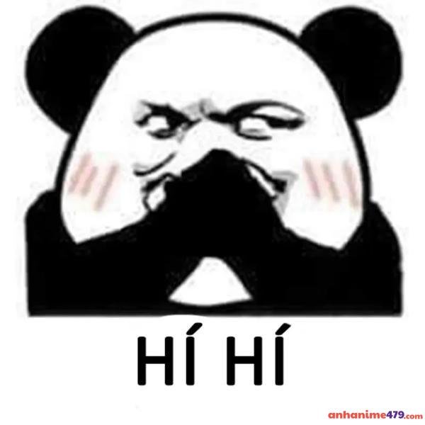 meme gãi đầu chế dễ thương