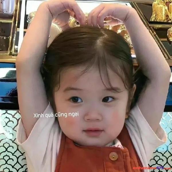 meme gãi đầu chế siêu hài