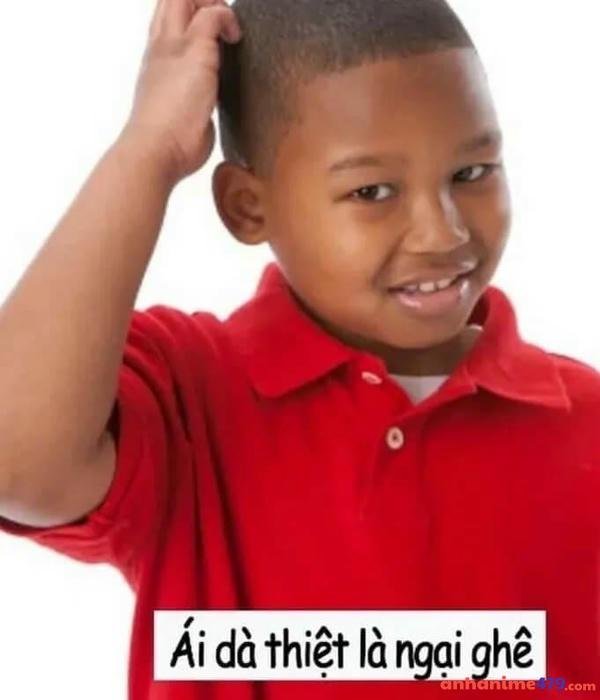 meme gãi đầu chế vui