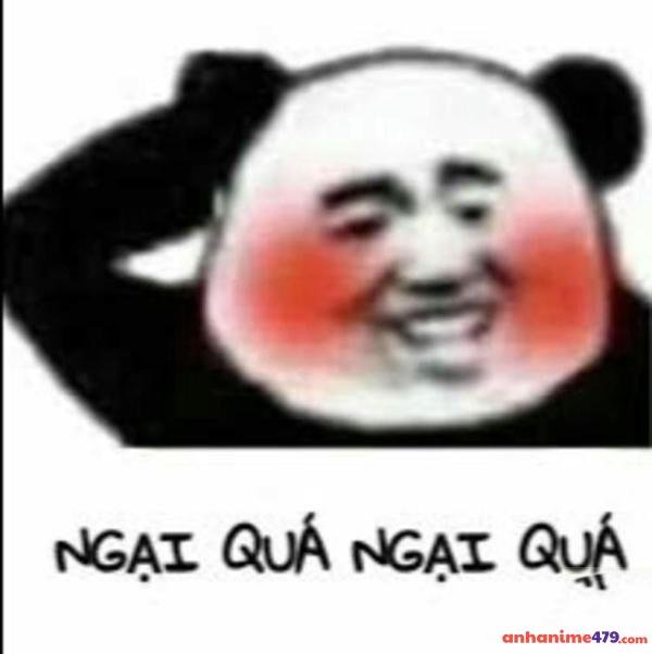 meme gãi đầu hài hước