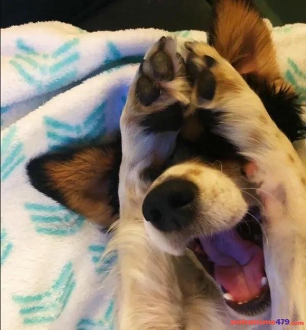 meme gãi đầu meme hot