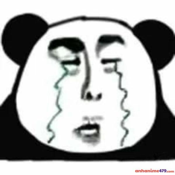 meme gấu trúc khó hiểu