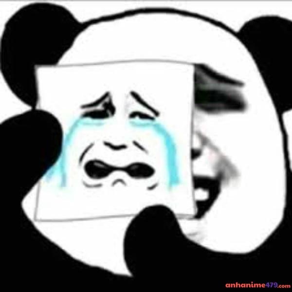 meme gấu trúc khóc 2 mặt