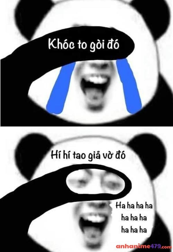 meme gấu trúc khóc che mặt