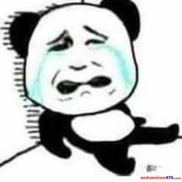 meme gấu trúc khóc cười