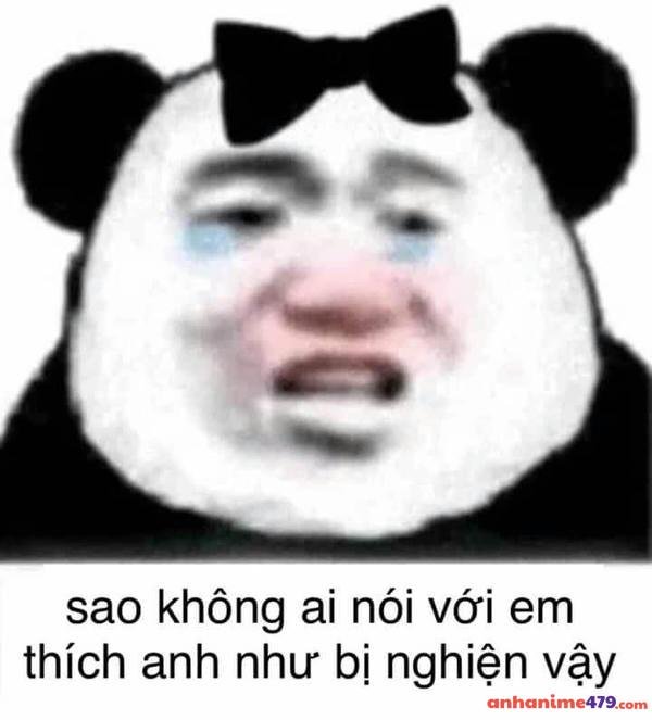 meme gấu trúc khóc troll