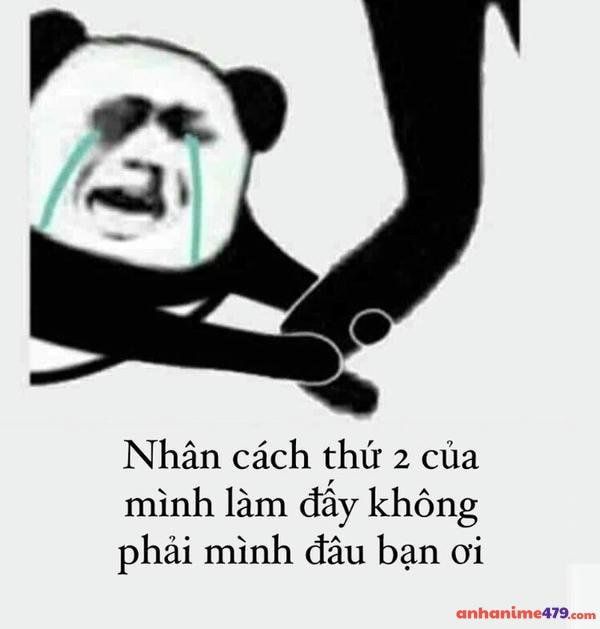 meme gấu trúc khóc