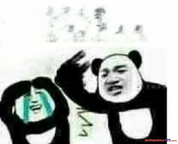 meme gấu trúc thức khuya