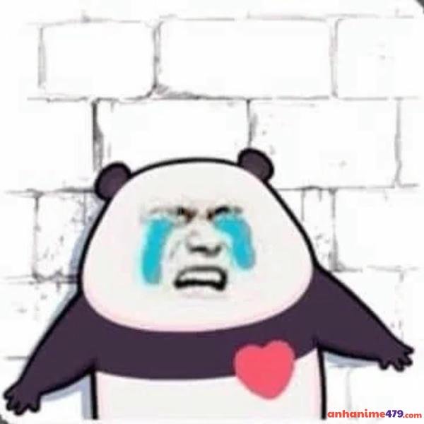 meme gấu trúc trung quốc khóc