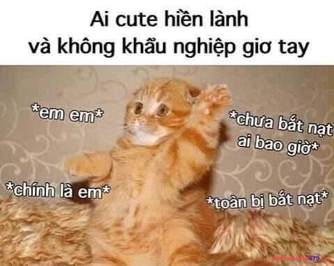 meme giơ tay bựa