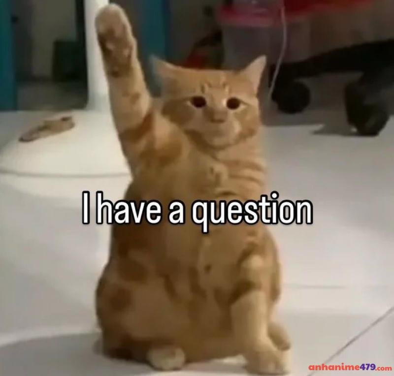 meme giơ tay ý kiến