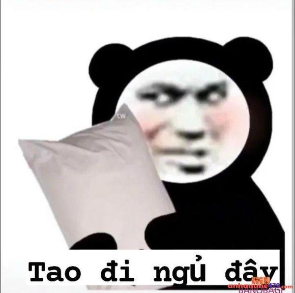 meme hài