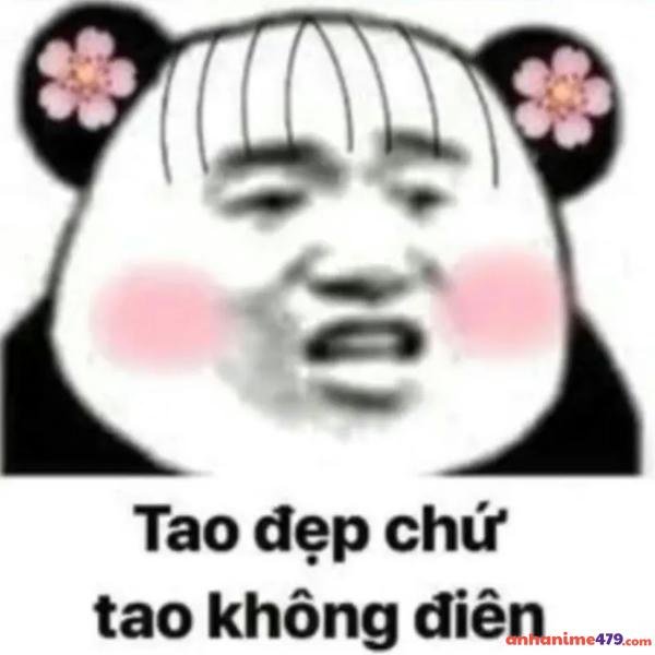 meme hài hước tao đẹp