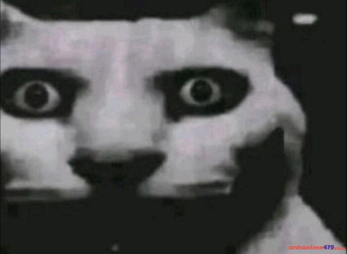 meme hoang mang chế siêu hài