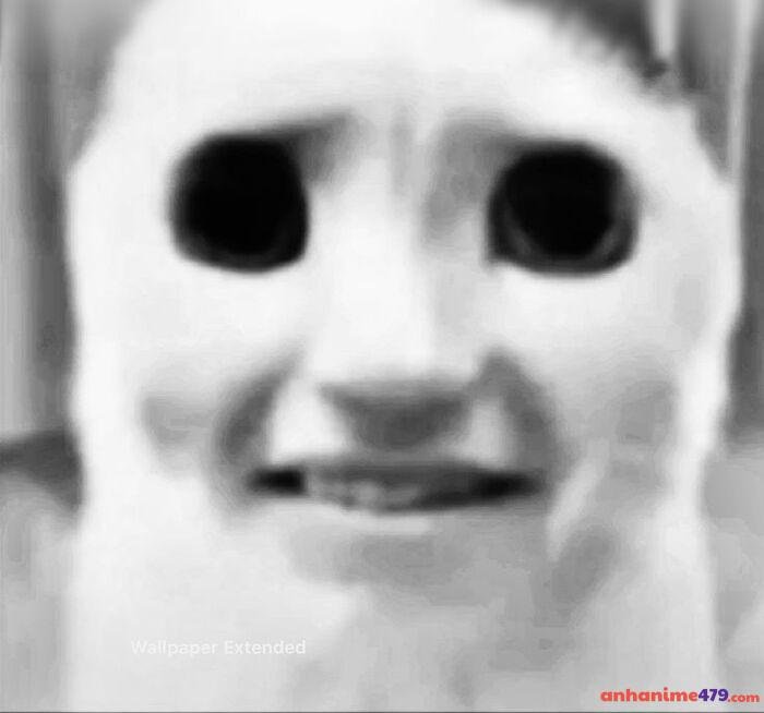 meme hoang mang hài hước