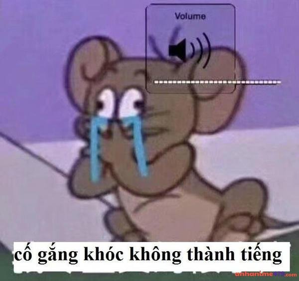 meme jerry khóc ra nước mắt