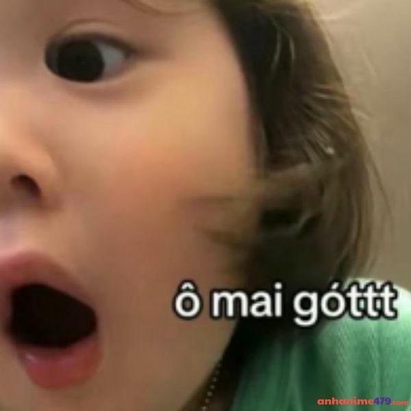 meme khó hiểu ô mai gót