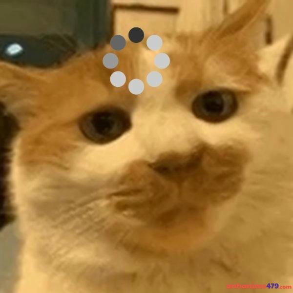 meme khó hiểu quá