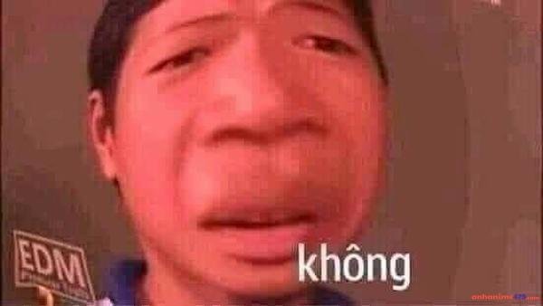 meme không chế dễ thương