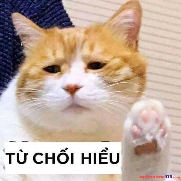meme không hiểu chế bá đạo