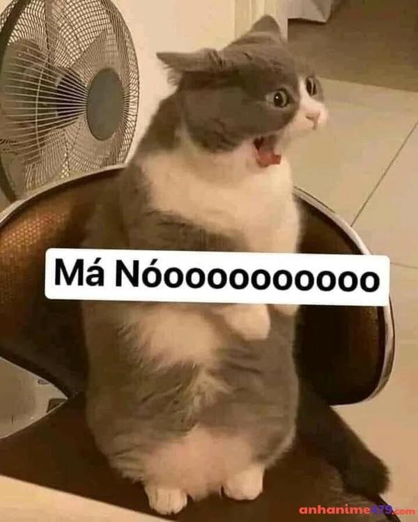 meme không hiểu chế siêu hài