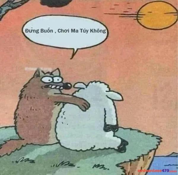 meme không hiểu meme viral