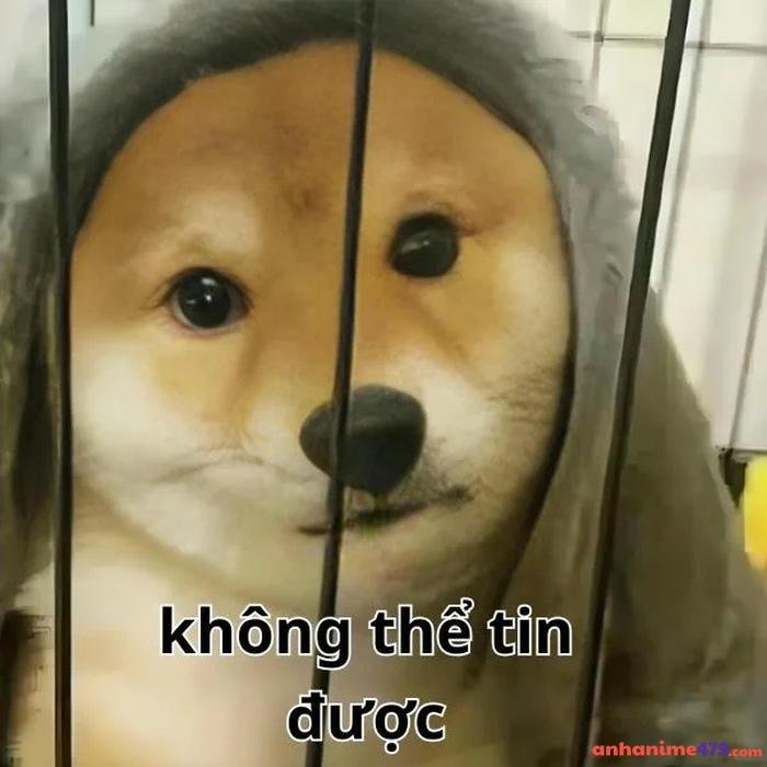 meme khong khong