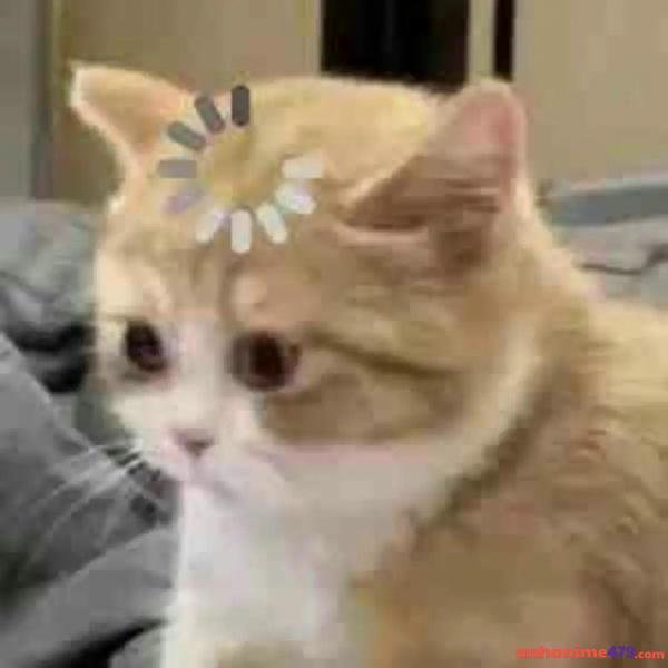 meme không meme buồn cười