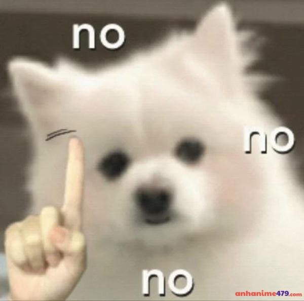 meme không meme hot nhất