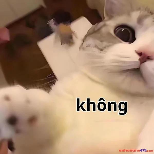 meme không vui nhộn