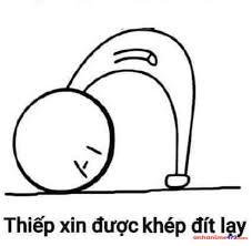 meme lạy bựa hài
