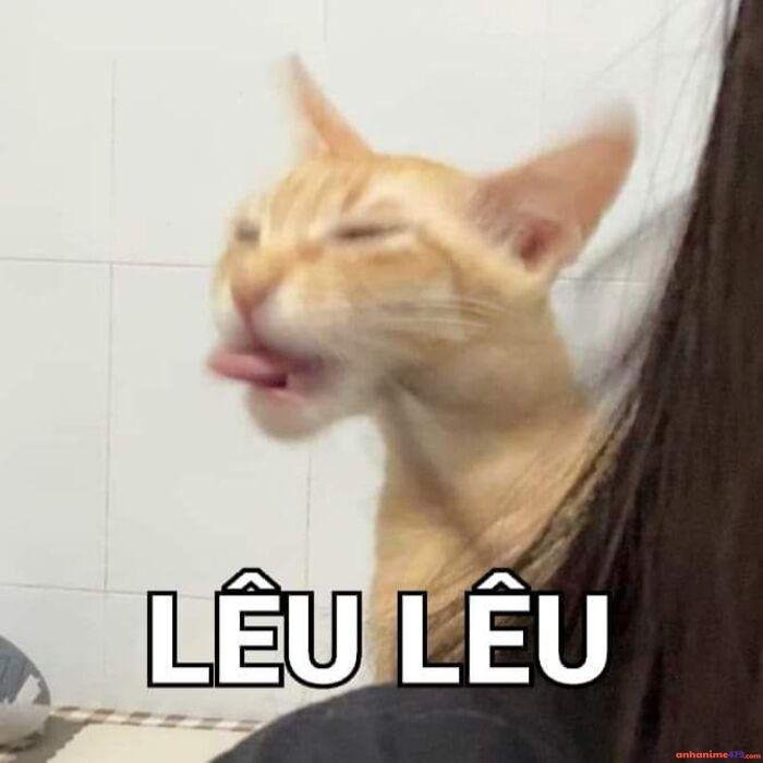 meme lêu lêu dễ thương hài