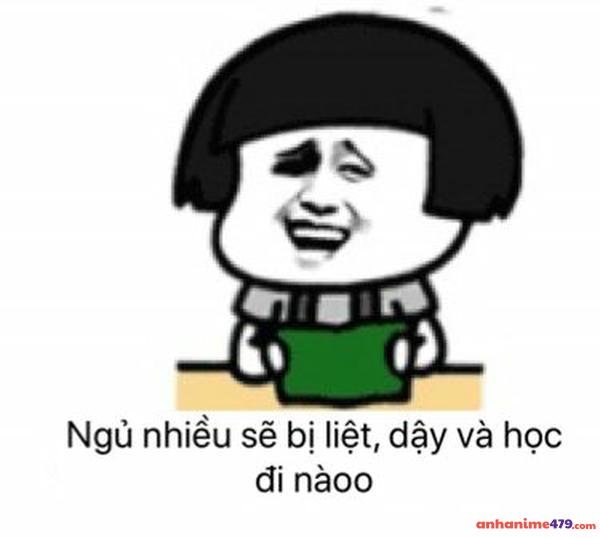 meme mất ngủ hài hước
