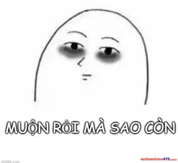 meme mất ngủ khi không thể ngủ