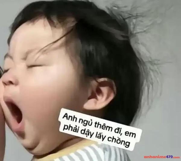 meme mất ngủ meme buồn cười