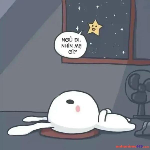 meme mất ngủ meme dễ thương