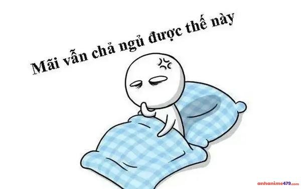 meme mất ngủ meme viral