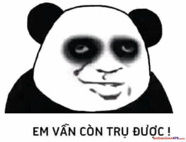 meme mất ngủ tâm trạng