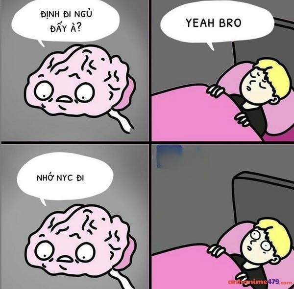 meme mất ngủ với biểu cảm độc