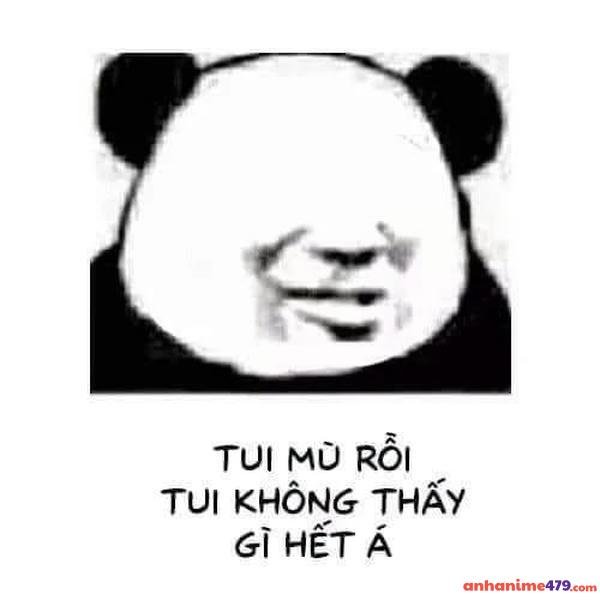 meme meme không hiểu hot nhất